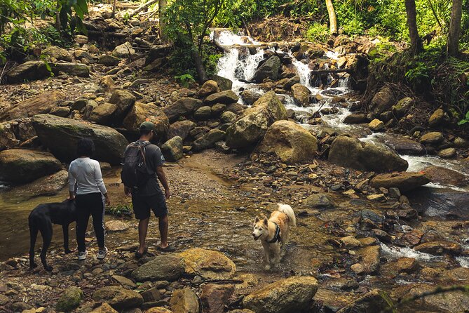 hiking medellin and hidden waterfalls - Price and value: why $40 feels fair for this kind of day