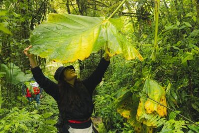 hiking medellin and hidden waterfalls
