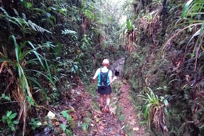 Hiking Mountains and Magical Forests - Key highlights at a glance