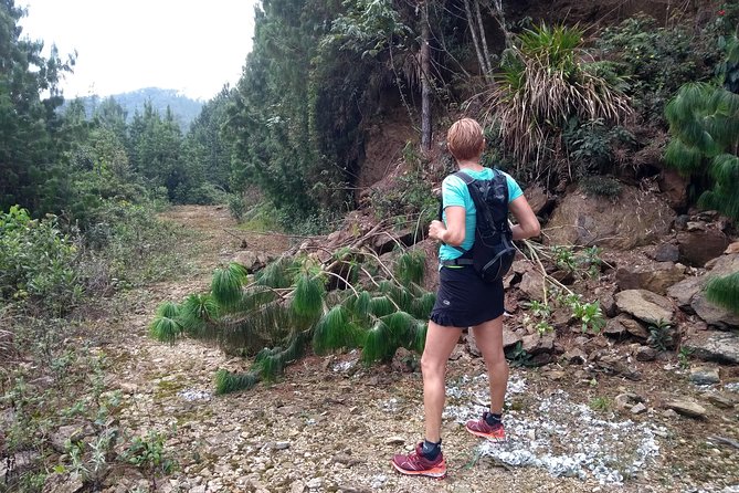 Hiking Mountains and Magical Forests - Choosing your hike length: from 2 hours to a full 7