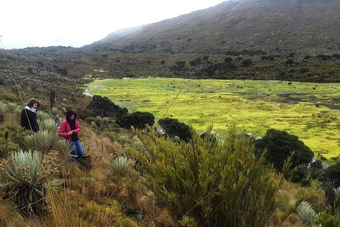 Hiking to the largest paramo on earth : Sumapaz - From Bogotá to the park: the morning plan that keeps things manageable