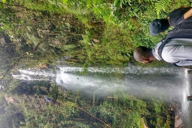 Hiking tour to the tallest waterfall in Colombia - Native Forest to La Chorrera, Colombia’s 590 M Drop