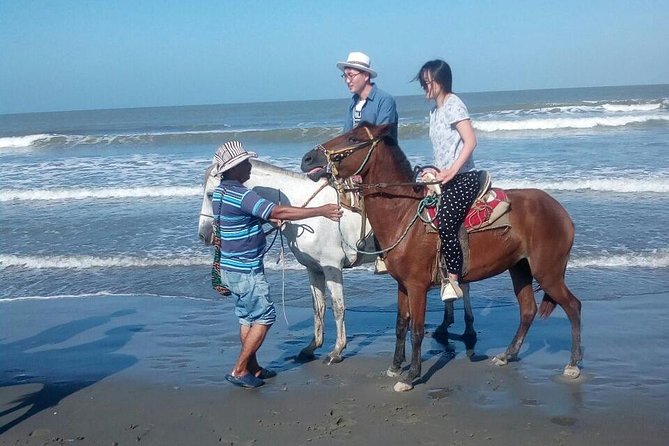 Horse Riding in Cartagena - Key Highlights You’ll Care About