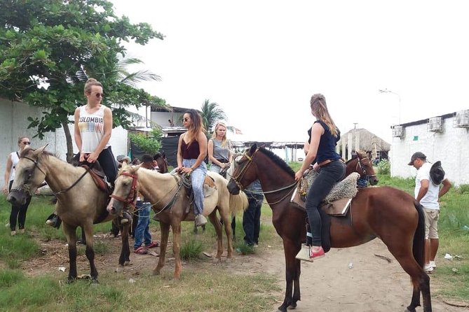 Horse Riding in Cartagena - La Boquilla Is More Than a Photo Stop