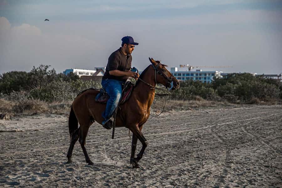 HORSE TOUR IN CARTAGENA BEACH - Who this horse tour is perfect for