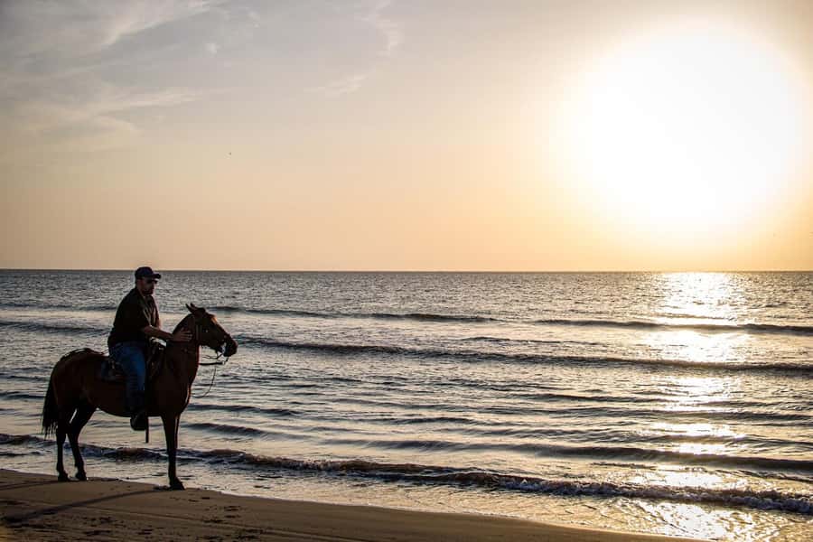 HORSE TOUR IN CARTAGENA BEACH - Meeting your guide and getting matched to the right pace