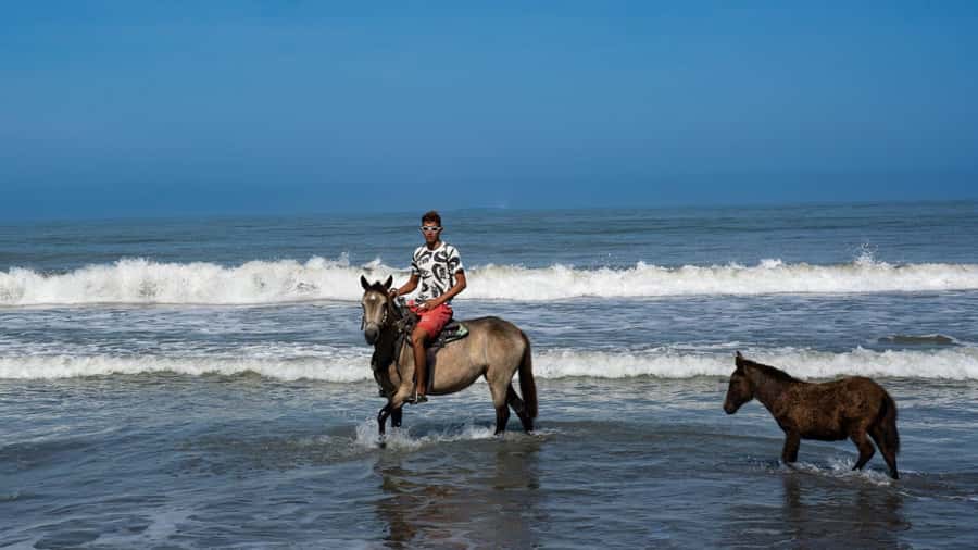 HORSE TOUR IN CARTAGENA BEACH - Choosing the right horse and the right moment to feel confident