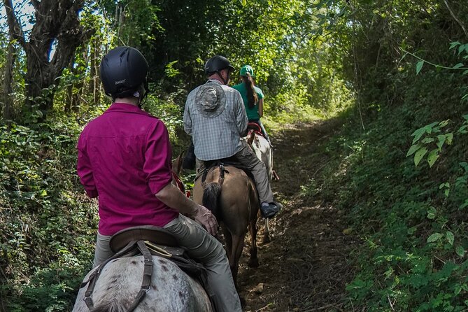 Horseback Ride Near Cartagena With Mountains, Wildlife and Forest - Key points at a glance