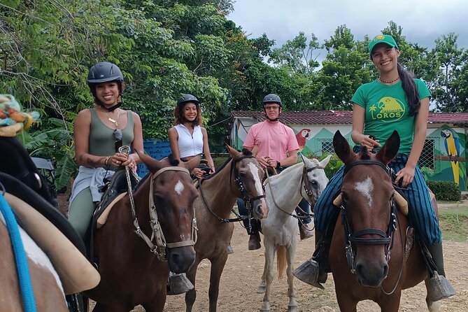Horseback Ride Near Cartagena With Mountains, Wildlife and Forest - The 15-kilometer horseback ride with an expert biologist guide
