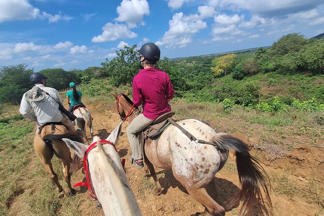 Horseback Ride Near Cartagena With Mountains, Wildlife and Forest - Wildlife sightings: monkeys, parrots, macaws, and the art of patient looking