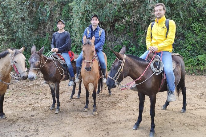 Horseback Riding from Guadalupe to Monserrate Private Day-Tour - Why this ride is special in Bogotá’s Eastern Hills