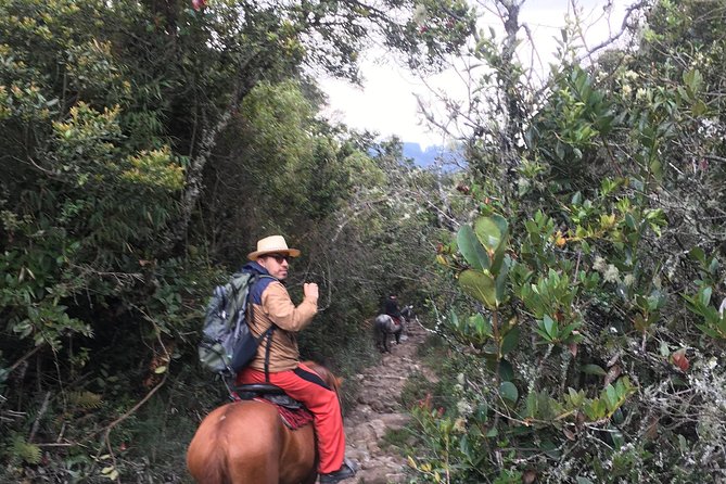 Horseback Riding from Guadalupe to Monserrate Private Day-Tour - Guadalupe’s Santuario Virgen de Guadalupe and the ride link-up