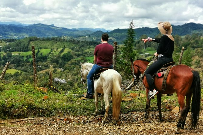 Horseback Riding in Medellin Private Tour: Great Views & Horses - Quick hits before you book