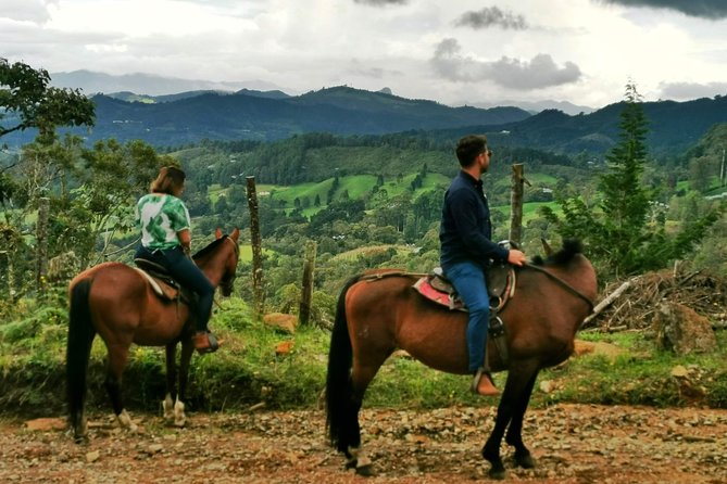 Horseback Riding in Medellin Private Tour: Great Views & Horses - Stops and moments that make the ride memorable