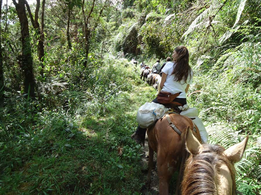 Horseback Riding Tour and visit to Tablón, Chaquira, Pelota - Key highlights to look for