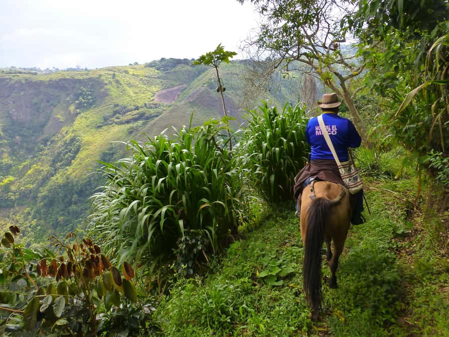 Horseback Riding Tour and visit to Tablón, Chaquira, Pelota - Horseback Riding Through San Agustín, With Statues That Feel Up Close