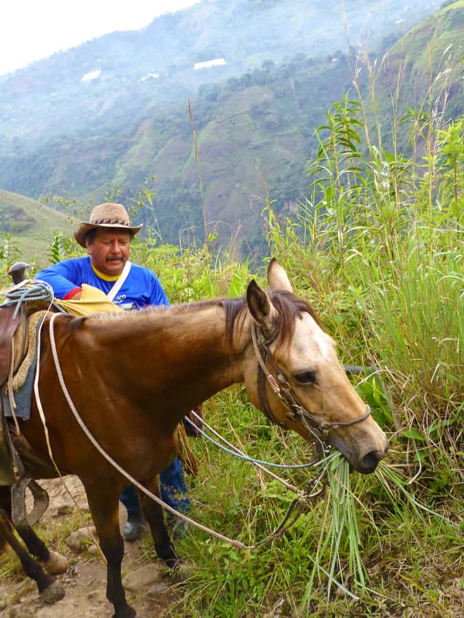Horseback Riding Tour and visit to Tablón, Chaquira, Pelota - How the Pickup Works: The Horse Meets You at Your Hotel