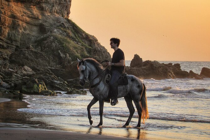 Horseback riding tour in a Colombian Paso fino horse - The 4-hour flow: from stables lesson to beach ride to included meal