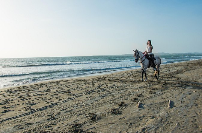 Horseback riding tour in a Colombian Paso fino horse - Price and value: what $257 per person really covers