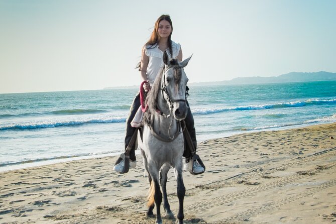 Horseback riding tour in a Colombian Paso fino horse - What to bring (and what to skip)