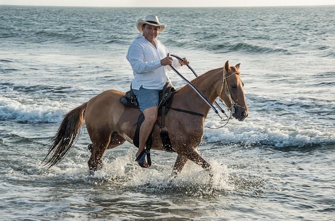 Horseback riding tour in a Colombian Paso fino horse - Who this tour is best for in Cartagena