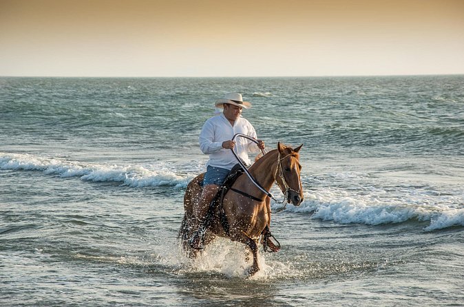 Horseback riding tour in a Colombian Paso fino horse - Transportation and convenience: getting there without wasting your trip