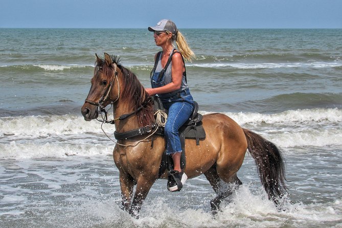 Horseback riding tour in a Colombian Paso fino horse - Luis and Maria’s style: attentive teaching and calm pacing
