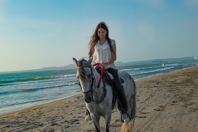 Horseback Riding Tour in Beach of Cartagena - Key things to know before you go