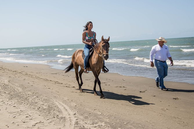 Horseback Riding Tour in Beach of Cartagena - Why a beach ride like Manzanillo feels different in Cartagena