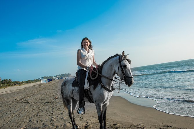 Horseback Riding Tour in Beach of Cartagena - Hotel pickup and the 4-hour flow that shapes your day