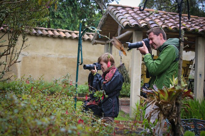 Hummingbird Birdwatching Encounter - Half Day - The Birdwatching Game Plan: Walk, Wait, Repeat