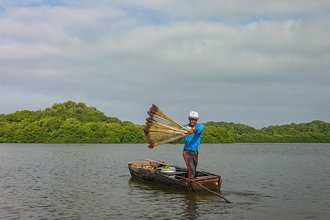 Into the Wild: Canoeing & Birdwatching in La Boquilla’s Untouched - How the 4-Hour Flow Works from Pickup to Return