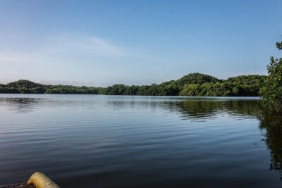 Into the Wild: Canoeing & Birdwatching in La Boquilla’s Untouched