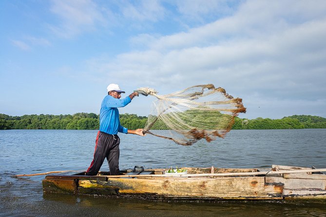 Into the Wild: Canoeing & Birdwatching in La Boquilla’s Untouched - Practical Tips for a Smooth Canoe and Photo Day