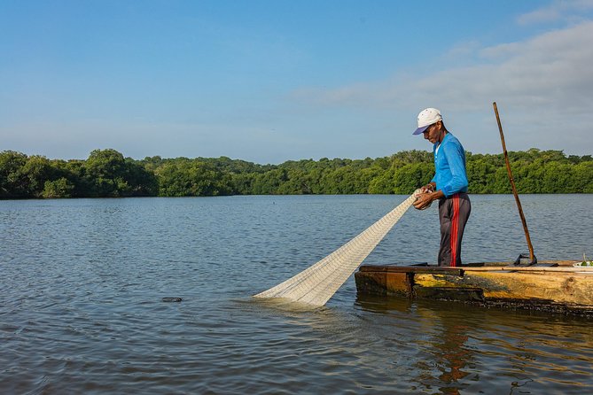 Into the Wild: Canoeing & Birdwatching in La Boquilla’s Untouched - Should You Book Into the Wild in La Boquilla?