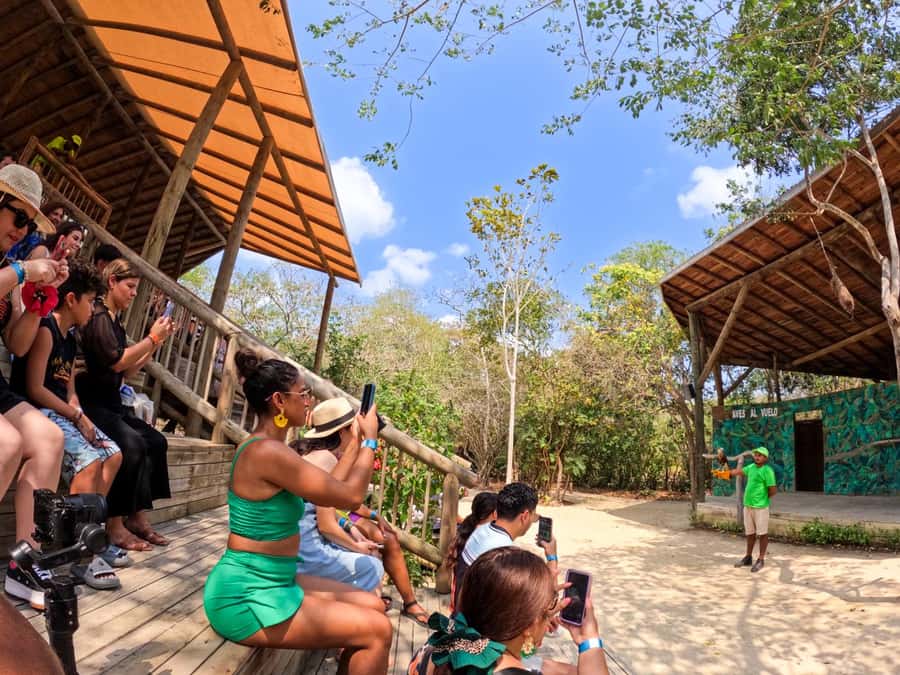 Isla Barú: Beach Club Access and Tour of the National Aviary - Barú Bridge, Aviary Science, and Playa Blanca Fun in One Day