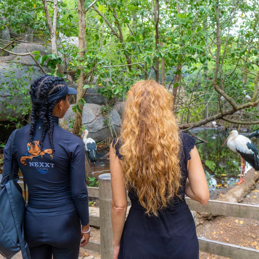 Isla Barú: Beach Club Access and Tour of the National Aviary - Cartagena Pickup, A/C Ride, and the Canal del Dique Crossing