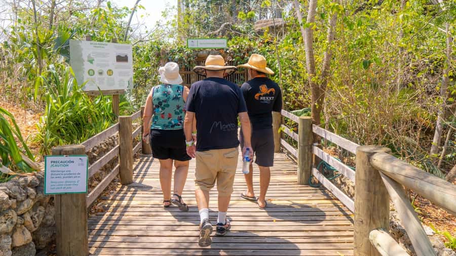 Isla Barú: Beach Club Access and Tour of the National Aviary - Who This Tour Suits Best, and Who Should Skip It