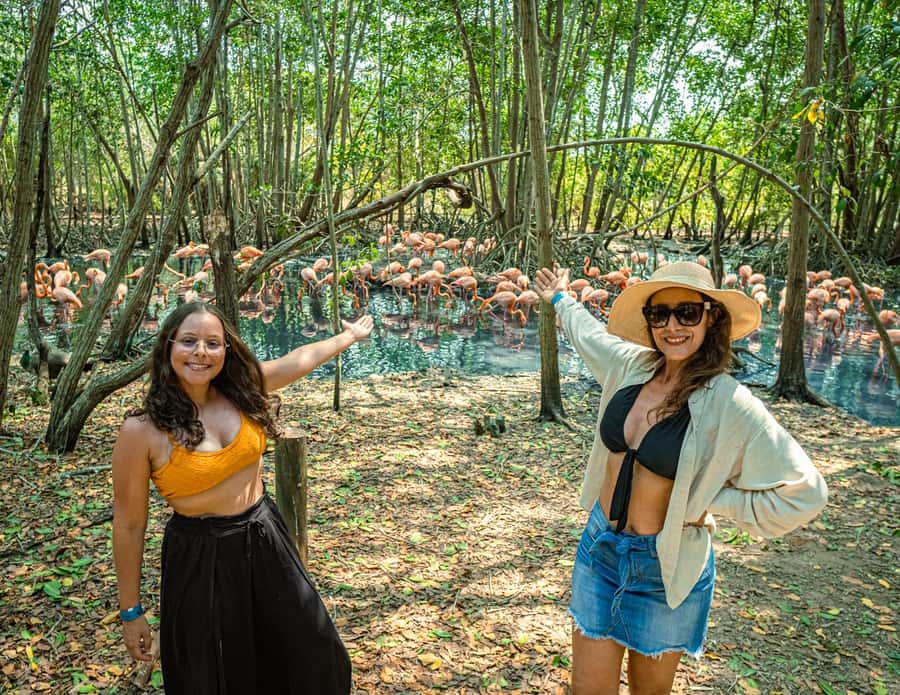 Isla Barú: Beach Club Access and Tour of the National Aviary - Price and Value: Is $70 a Good Deal Here?