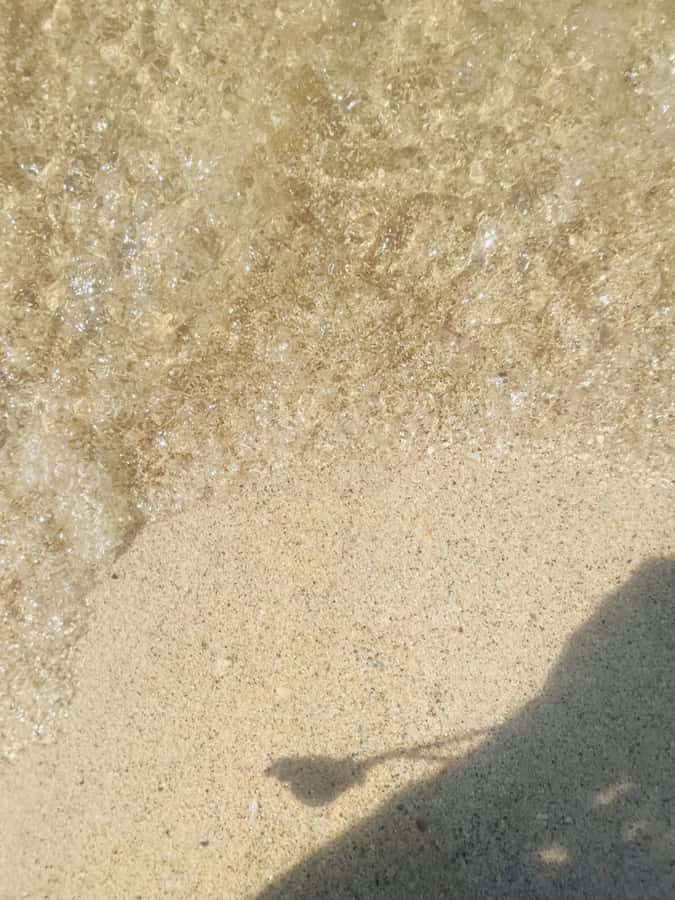 Isla Tierra Bomba beach club: Day Pass with typical food - Key things I’d circle before you go