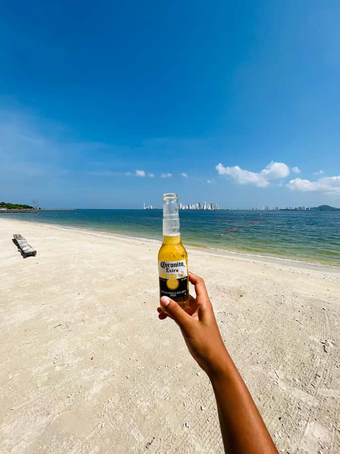 Isla Tierra Bomba beach club: Day Pass with typical food - Lunch that’s flexible, not just one plate: fish, chicken, paella, vegan options