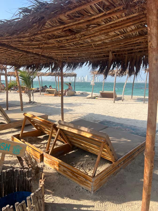 Isla Tierra Bomba beach club: Day Pass with typical food - Who should book this day pass, and who should skip it