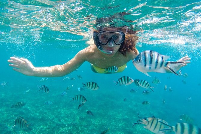 Islas del Rosario plus Bioluminescence Experience - Islas del Rosario, the Sunken Plane stop, and a reef snorkel