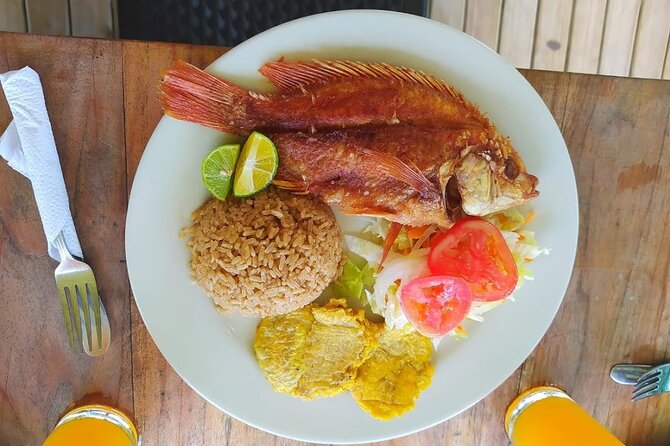 Islas del Rosario plus Bioluminescence Experience - Snorkeling gear and comfort tips that prevent disappointment