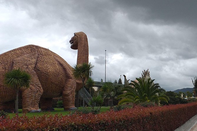 Jaime Duque Park Private Tour from Bogotá. (8 Hrs.) - The Zoo and Wildlife Enclosures: Animal Time That Feels Purposeful