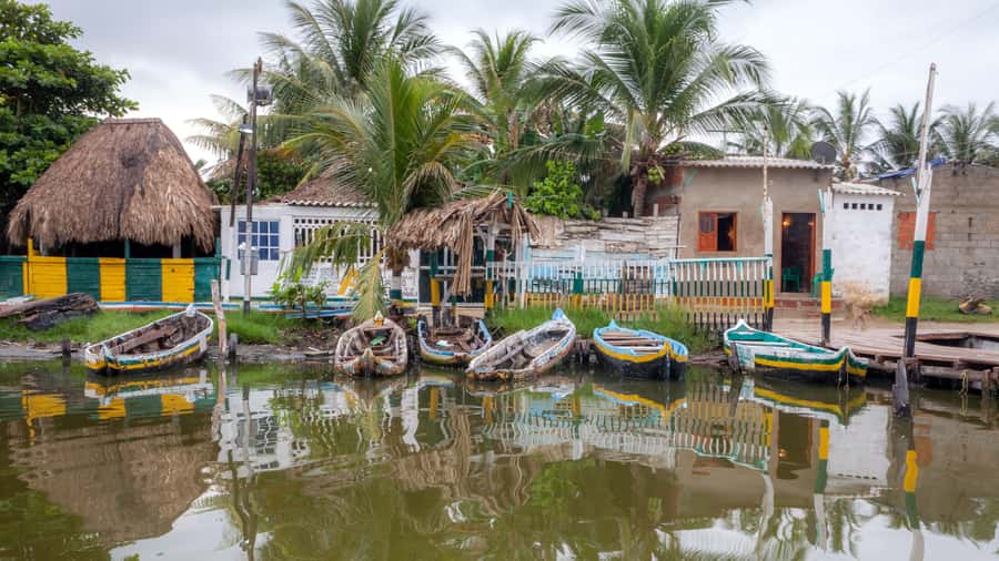 La Boquilla: 3-Hour Canoe Tour through the Mangroves - Key things to know before you go