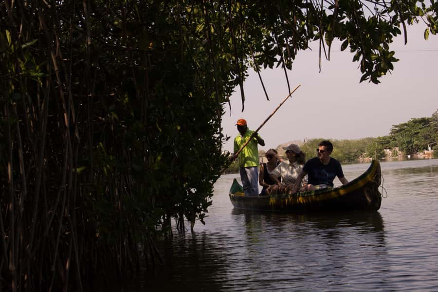 La Boquilla: 3-Hour Canoe Tour through the Mangroves - Why La Boquilla’s mangrove maze feels worlds away from Cartagena center