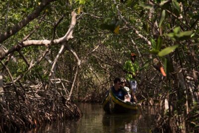 La Boquilla: 3-Hour Canoe Tour through the Mangroves