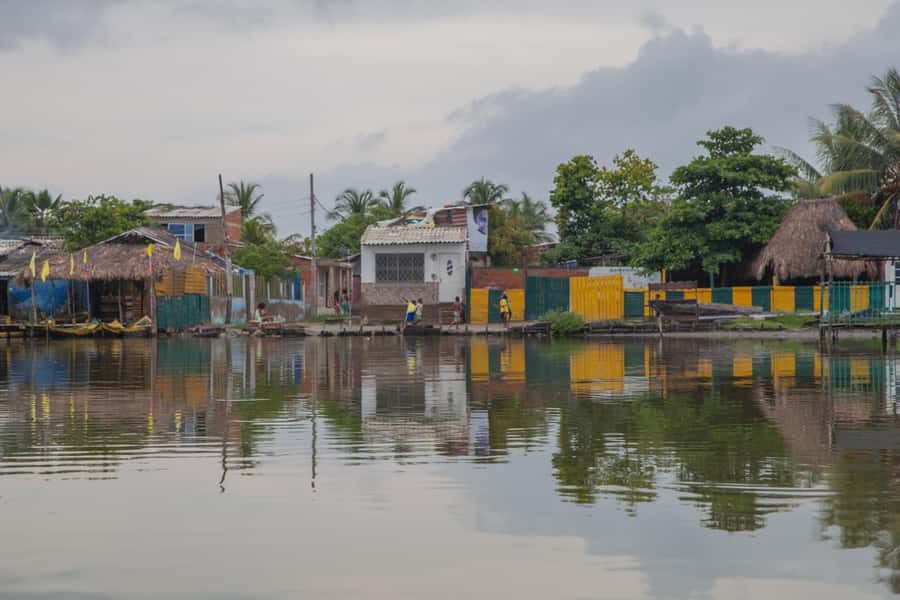 La Boquilla: 3-Hour Canoe Tour through the Mangroves - Who this mangrove canoe tour is best for