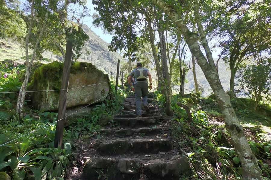 La Chorrera and Chiflon Waterfalls Private Hike Tour - Who This Hike Suits Best